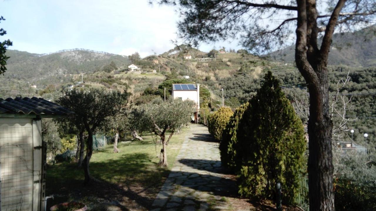 La Cabana Cinque Terre Monterosso مونتيروسّو ال ماري المظهر الخارجي الصورة
