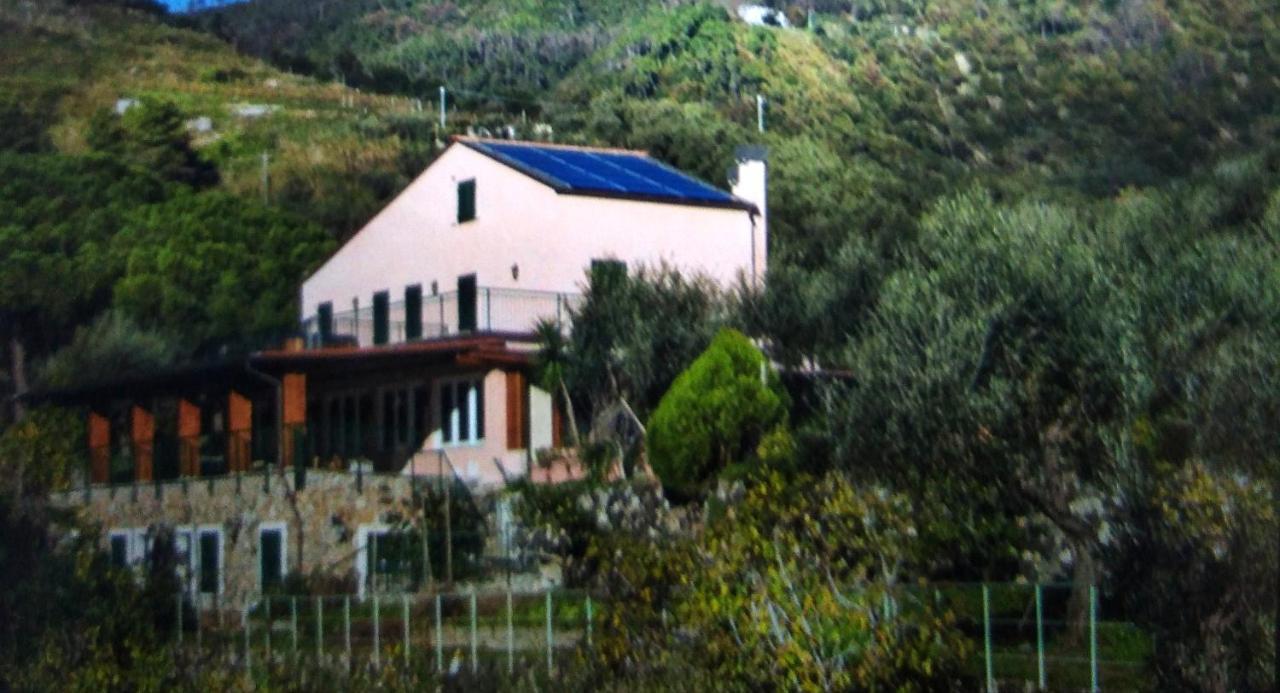 La Cabana Cinque Terre Monterosso مونتيروسّو ال ماري المظهر الخارجي الصورة