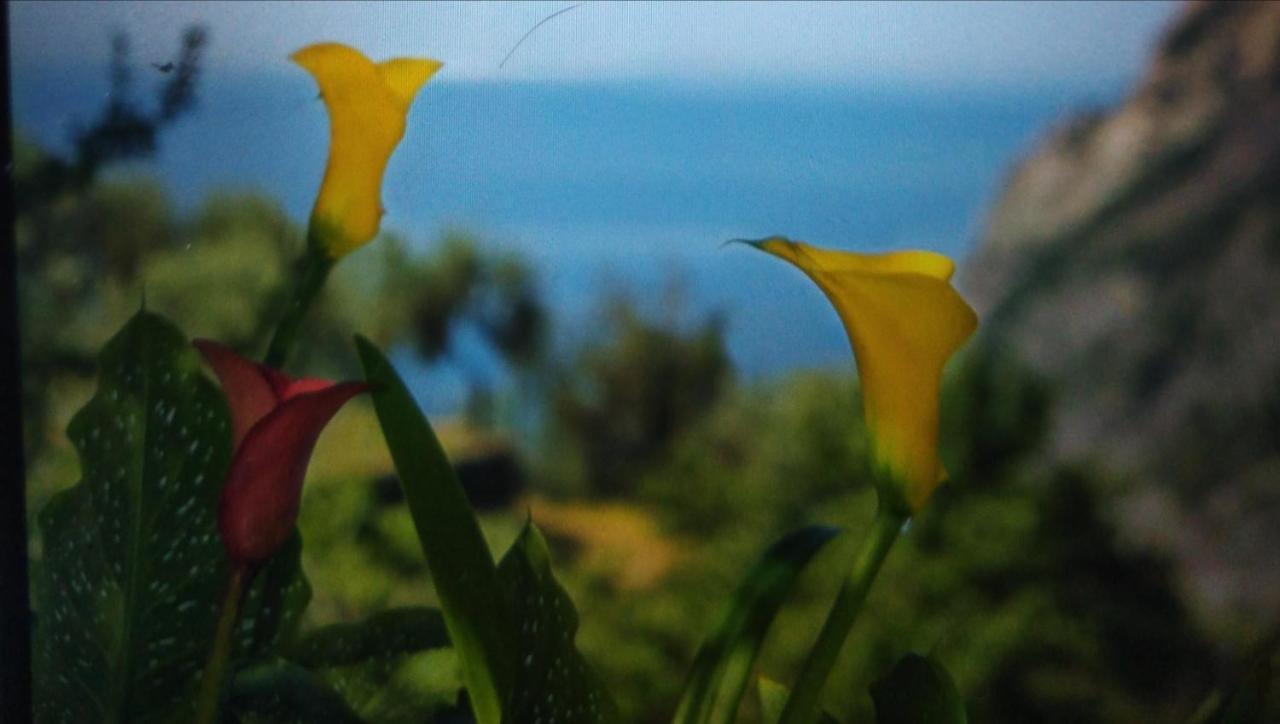 La Cabana Cinque Terre Monterosso مونتيروسّو ال ماري المظهر الخارجي الصورة